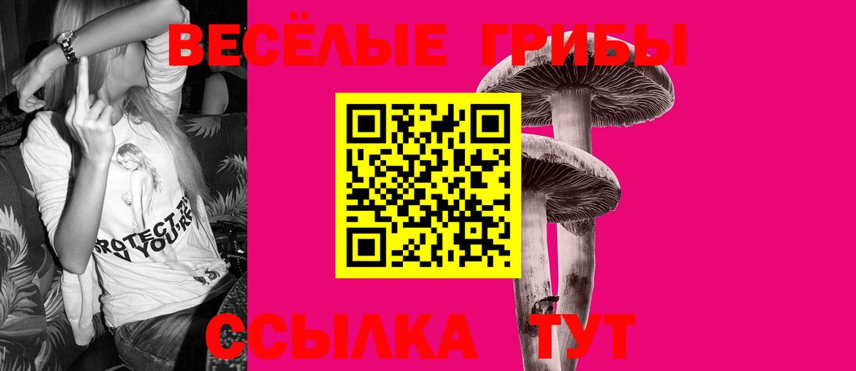 Псилоцибиновые грибы Cubensis Домодедово